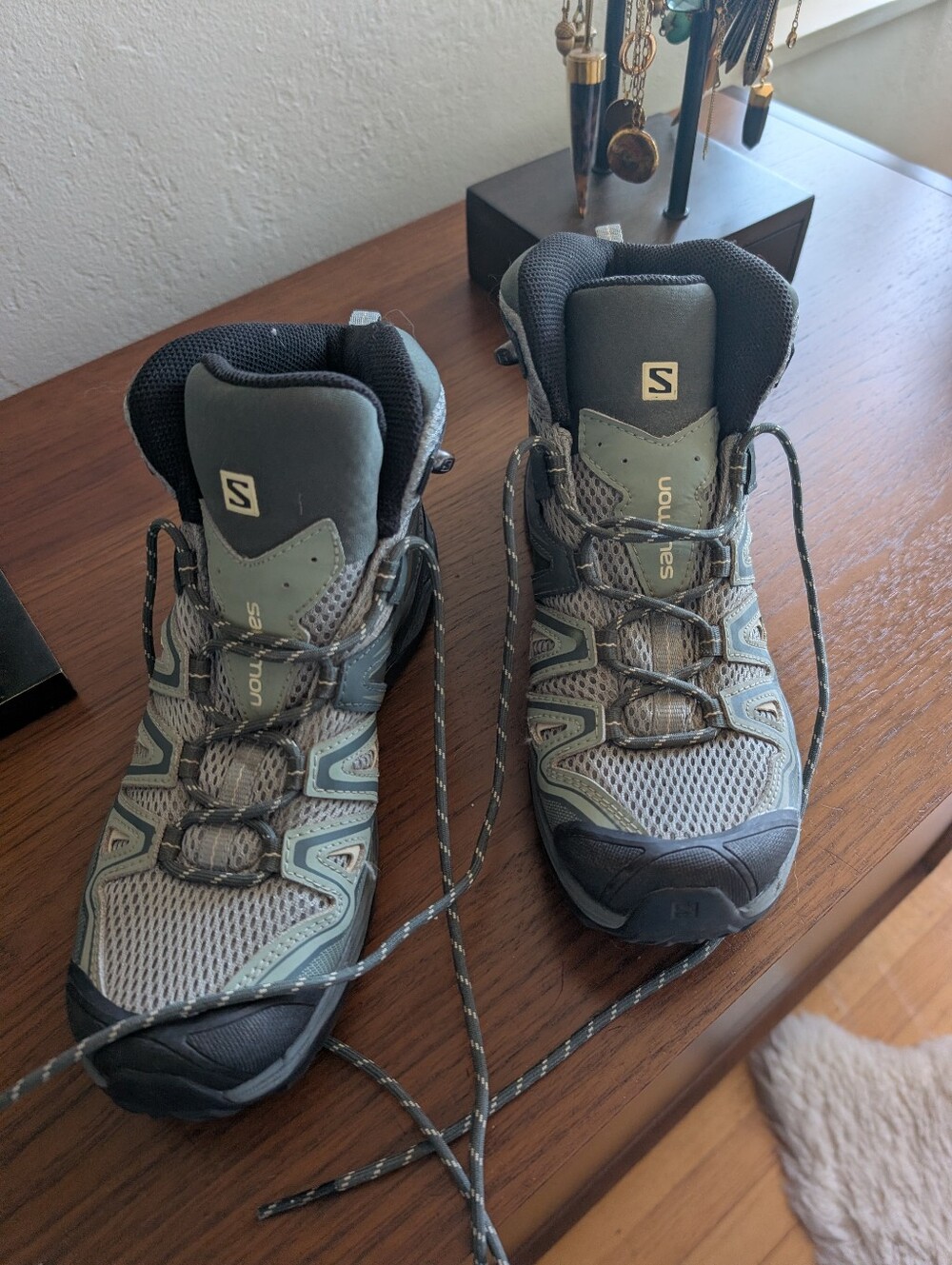 Salomon Women's X Ultra Hiking Boots